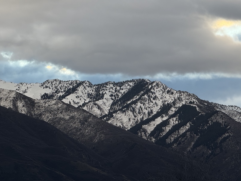Flour Hands & Full Days