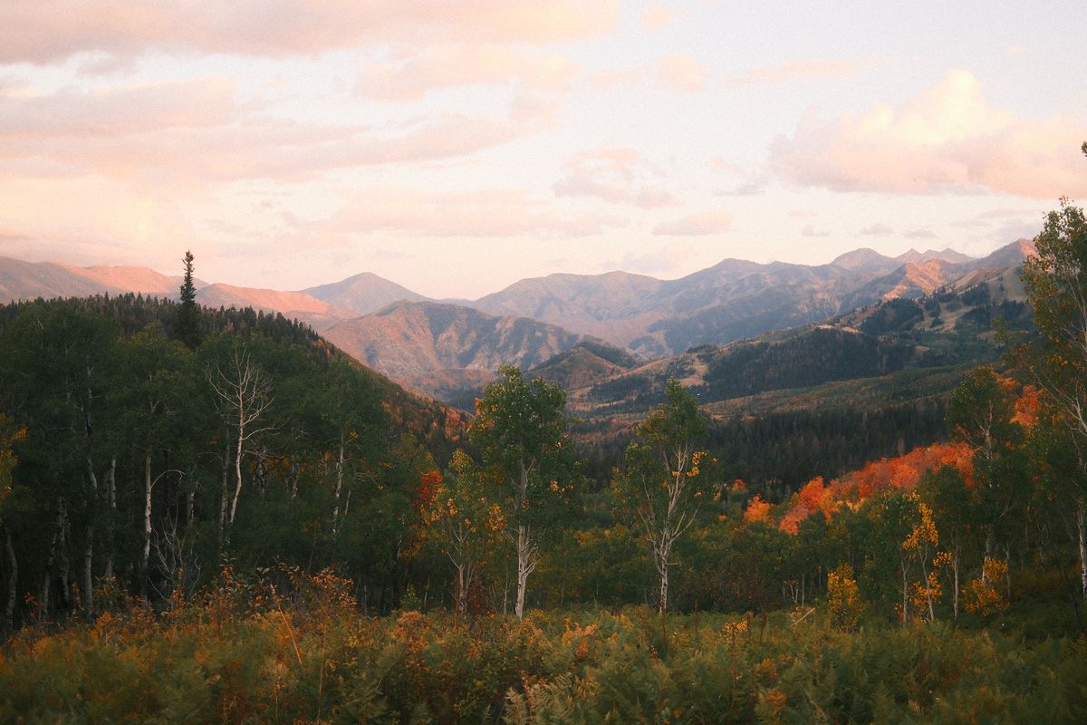 Welcome to my little corner of the internet!