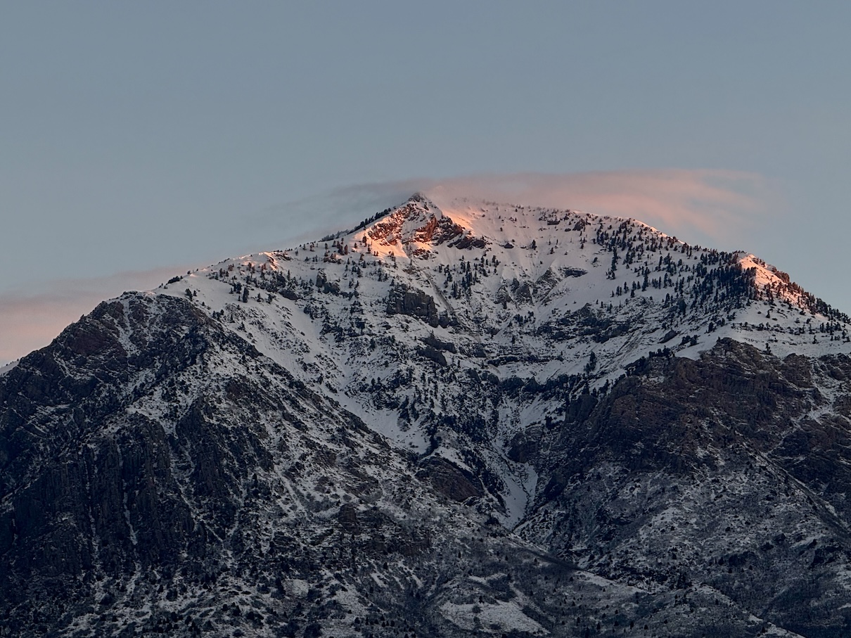 Welcome to my little corner of the internet!